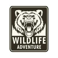 wildlife adventure badge with bear head vector