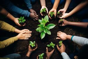 parte superior ver diversidad personas manos tomando cuidado de joven bebé plantas creciente en fértil suelo. mundo ambiente día. repoblación forestal, naturaleza, ecología y salvar el mundo concepto. generativo ai, ilustración foto