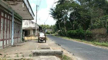 magelang, indonesia.09-20-2023.hausmeister wählen oben Müll mit einfach Karren. video