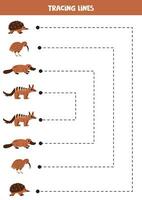 Tracing lines for kids. Australian animals. Handwriting practice. vector