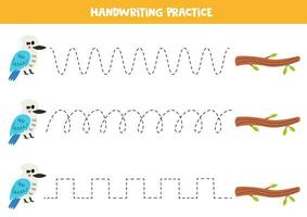 Tracing lines for kids. Cute kookaburra bird and tree branch. Handwriting practice. vector