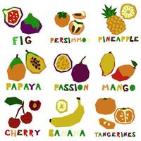 A set of stylized geometric fruits in whole and in section with the name. Natural organic tropical products. Printing on grocery products to indicate taste. Vector flat illustration