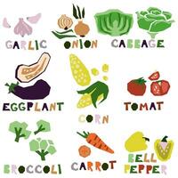 A set of stylized geometric vegetables whole and in section with the name. Abstract organic farm products. For printing on products denoting taste. Vector flat illustration highlighted on a white