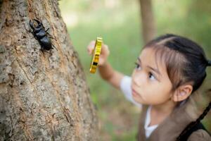 un pequeño asiático niña utilizando un lupa a estudiar un ciervo escarabajo en un parque. foto