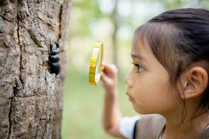 A little Asian girl using a magnifier to study a stag beetle in a park. photo