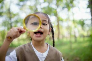 A little Asian girl using a magnifier to study a stag beetle in a park. photo