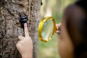 A little Asian girl using a magnifier to study a stag beetle in a park. photo