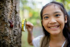 A little Asian girl using a magnifier to study a stag beetle in a park. photo