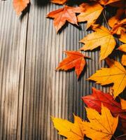 Autumn Maple leaves and pine cones on a wooden background with copy space Generative AI photo