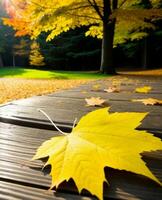 Maple leaf on wooden boardwalk in autumn park. Autumn background Generative Ai photo