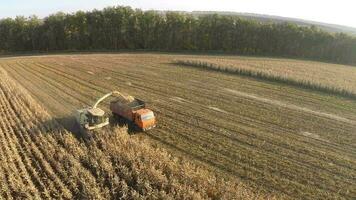 Flying over combine and truck harvesting crops video