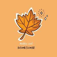 Autumn maple leaf hand drawn illustration vector