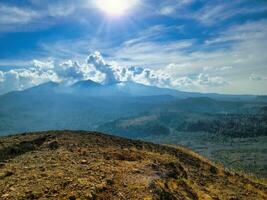 The Black Forest photo