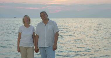 Senior Paar durch Meer suchen zu das Kamera video