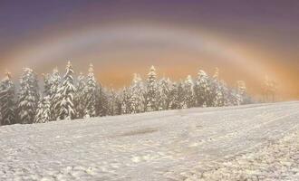 Hazy sunset over the frozen forest in winter photo