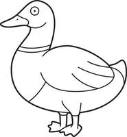 Easy coloring cartoon vector illustration of a brown and green duck