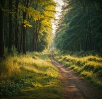 Road in dark forest, sunlight, lush greenery and grass. AI generated photo
