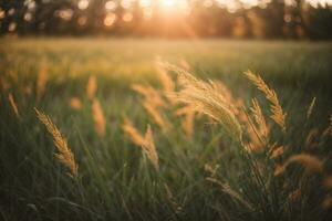 Wild grass in the forest at sunset. Macro image, shallow depth of field. Abstract summer nature background. Vintage filter. AI generated photo