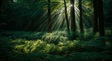 Beautiful rays of sunlight in a green forest. AI generated photo