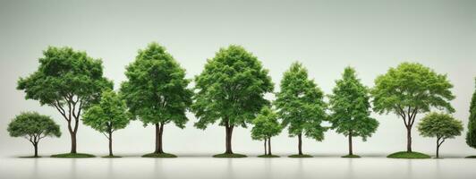 Set of green trees isolated on white background. Different kinds of tree collection. AI generated photo