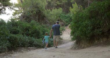 padre y hijo caminando lejos en bosque video