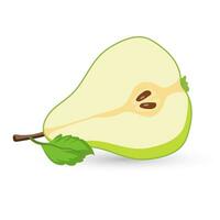 Half cut of fresh pear fruit in sliced on white background used in Organic healthy fruits vector illustration