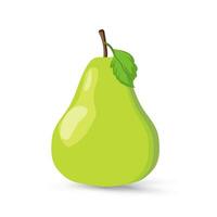 A fresh green fruit icon pear, Green pear fruit on isolated white background vector