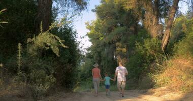 niño y abuelos corriendo en el bosque video