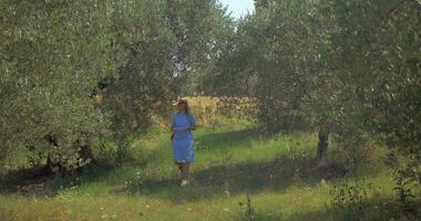 Woman with pad taking nature pictures video