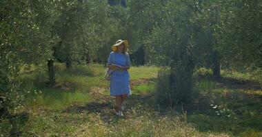 mujer con almohadilla caminando en el jardín o bosque video