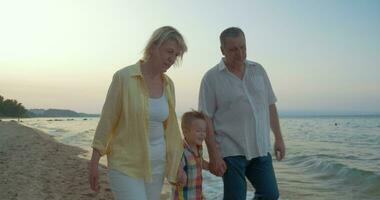 farföräldrar och liten barnbarn gående på de strand video