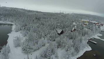 Winter recreation in pinery, aerial view video