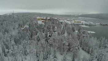 Flying over winter recreation in pine wood by water video