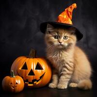 Photorealistic image of a cute kitten in a hat with a Halloween pumpkin. AI generated photo