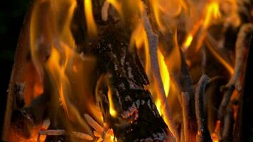 flameante hoguera carbones en el noche video