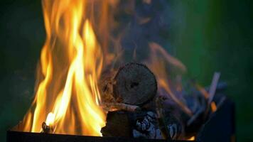 bois sur Feu dans le cheminée video