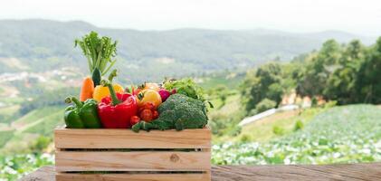 caja de madera llena de verduras orgánicas frescas foto
