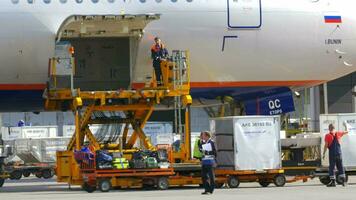 personas descarga equipaje sostener de el avión video