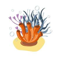 Corals and seaweed. Botanical Illustration vector