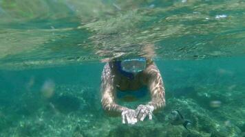 Woman in snorkel diving and waving with hands video