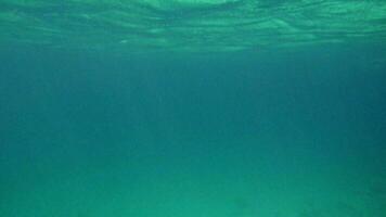 ondulado mar superfície embaixo da agua video