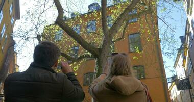 freunde nehmen Fotos von Baum im Stockholm video
