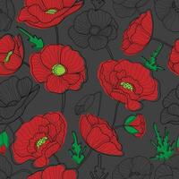 amapolas sin costura modelo. rojo amapolas en oscuro antecedentes. floral impresión para textil, fondos de pantalla, tela y envase papel. vector