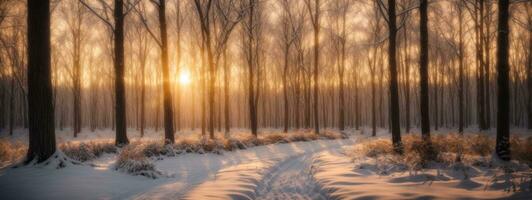 puesta de sol en el madera en invierno período. ai generado foto