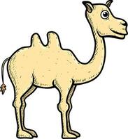 camello aislado en blanco vector