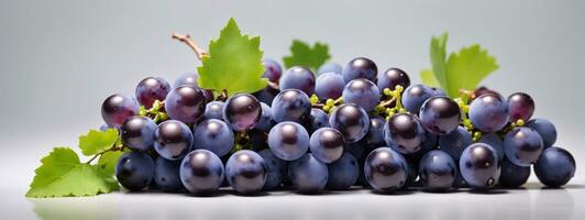 Blue grapes bunch isolated on white background. AI generated photo