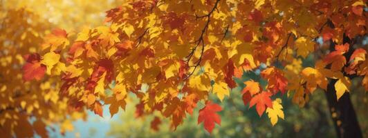 Autumn colorful bright leaves swinging in a tree in autumnal park. Autumn colorful background, fall backdrop. AI generated photo