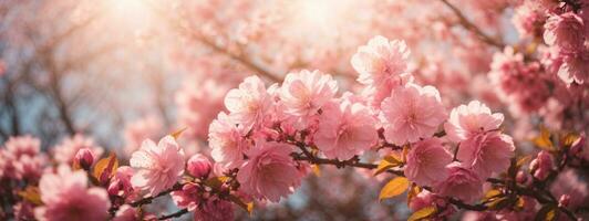 Spring border or background art with pink blossom. Beautiful nature scene with blooming tree and sun flare. AI generated photo