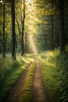 la carretera en oscuro bosque, luz de sol, lozano verdor y césped. ai generado foto