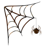 Halloween araignée sur le la toile noir. png illustration pour Halloween